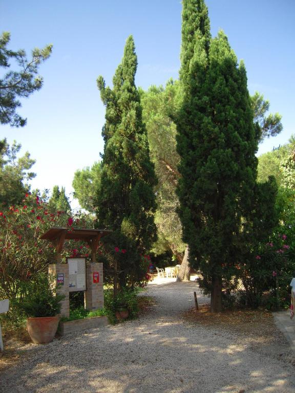 Manade Cavallini - Mas De Pioch Saintes-Maries-de-la-Mer Kültér fotó